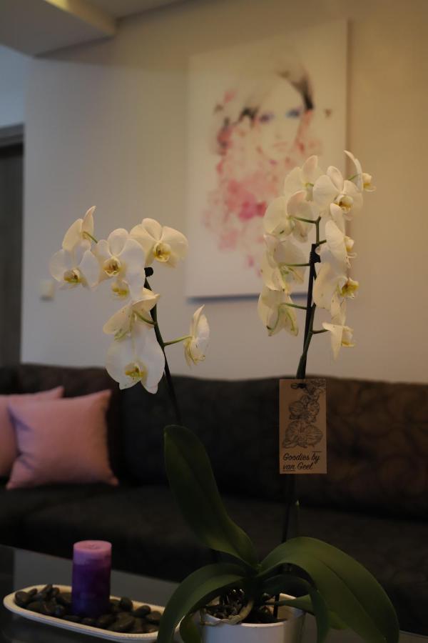 Deluxe Apartments Andreas Limenaria  Extérieur photo